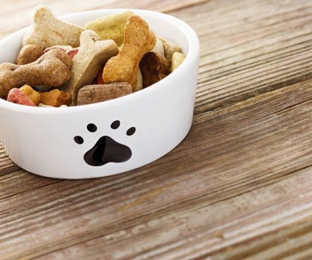 Alimento para Perros: Una Elección Difícil