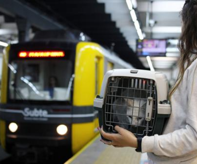 Argentina: Las Mascotas pueden viajar en Subte